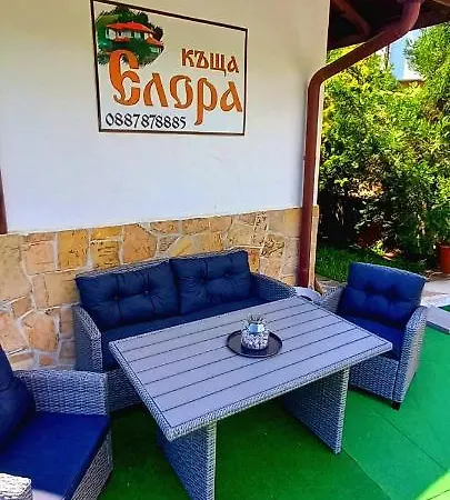 Elora شيفليك